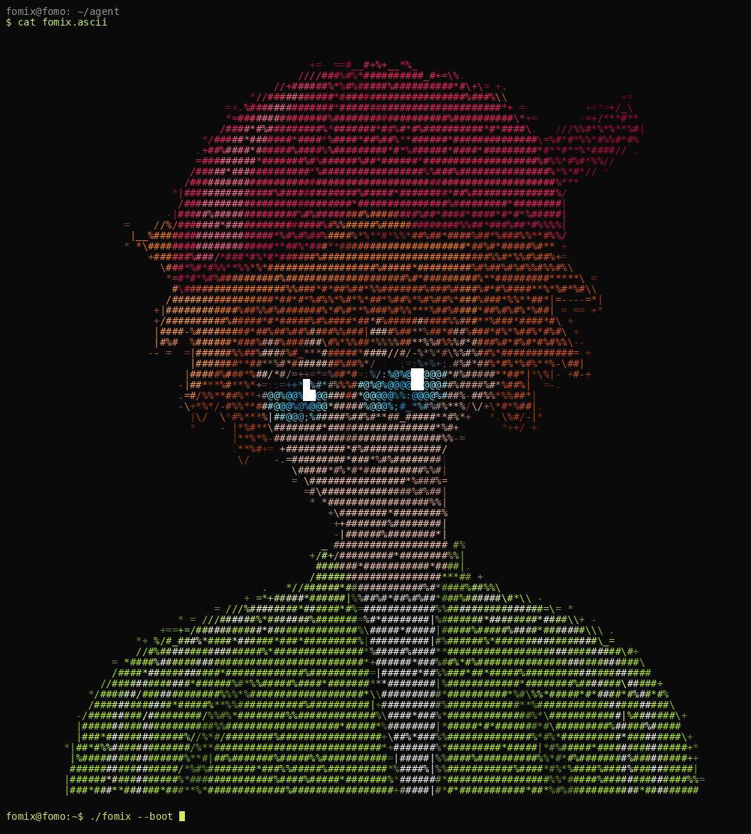 fomix, an orange-haired guy in a backwards pink cap and a lime track jacket, rendered in terminal ascii art